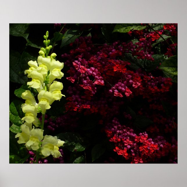Snapdragon and Pagoda Flowers Colorful Floral Poster (Front)