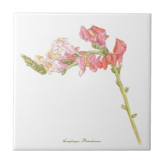 Snapdragon  ceramic tile