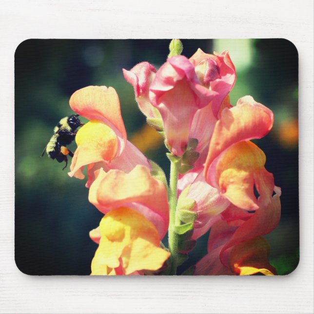 Snapdragon Flower And Bumble Bee  Mouse Pad (Front)
