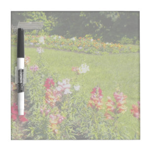 Snapdragon Flower Garden Dry-Erase Board