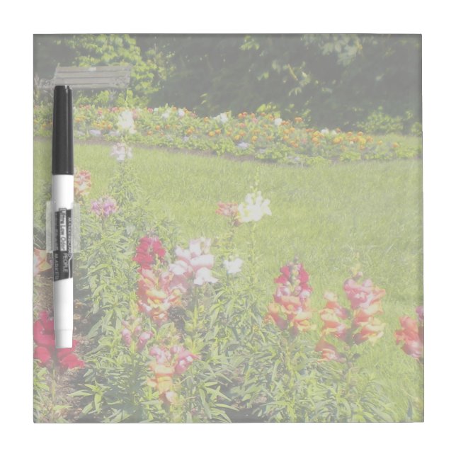 Snapdragon Flower Garden Dry-Erase Board (Front)
