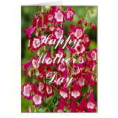 Snapdragon Flowers Greeting Card (Front)