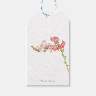 Snapdragon gift tags