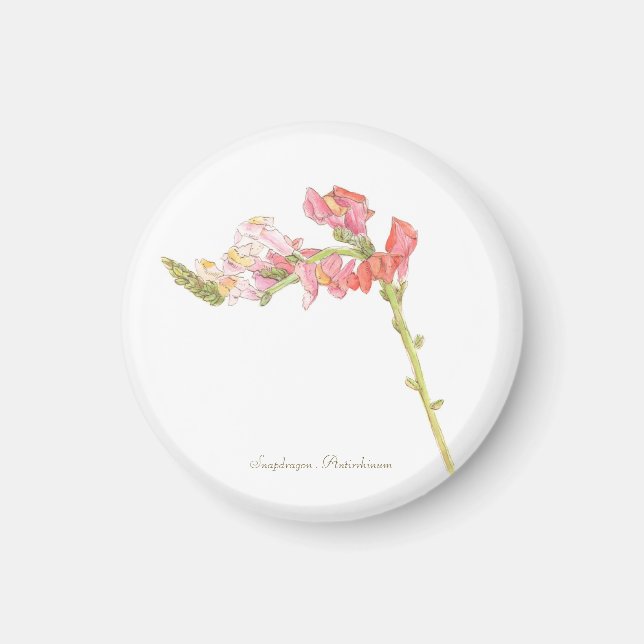 Snapdragon Magnet (Front)