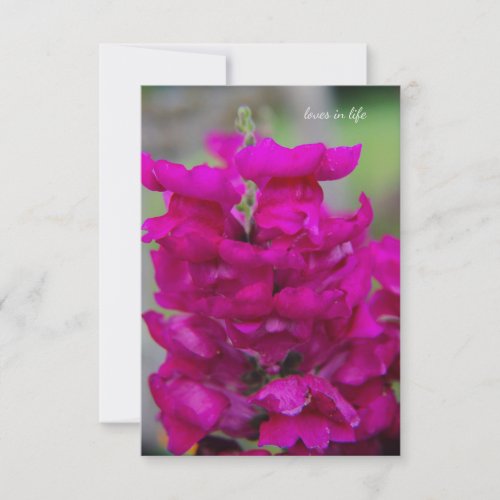 Snapdragon Note Card
