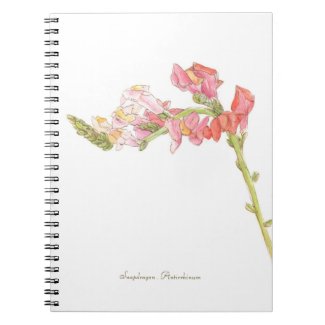 Snapdragon notebook