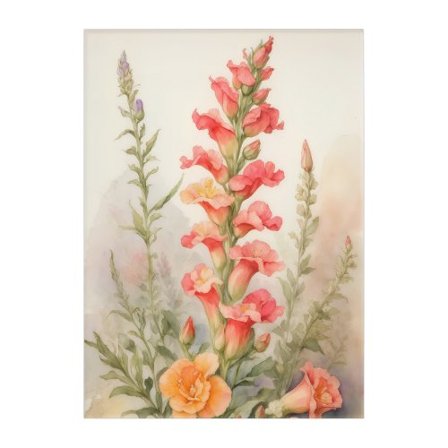 Snapdragon Splendor Acrylic Print