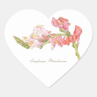 Snapdragon Sticker