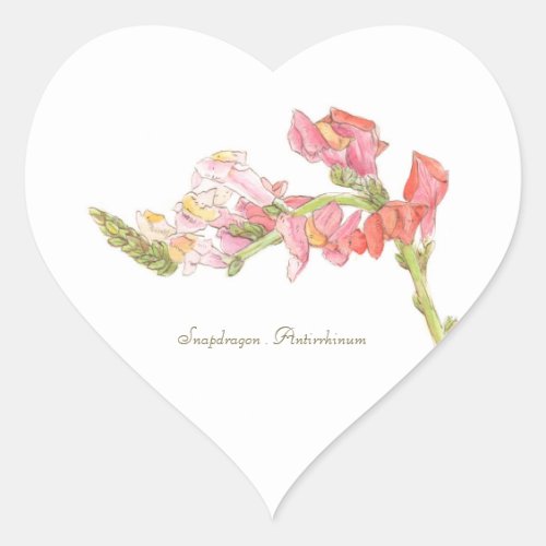 Snapdragon Sticker