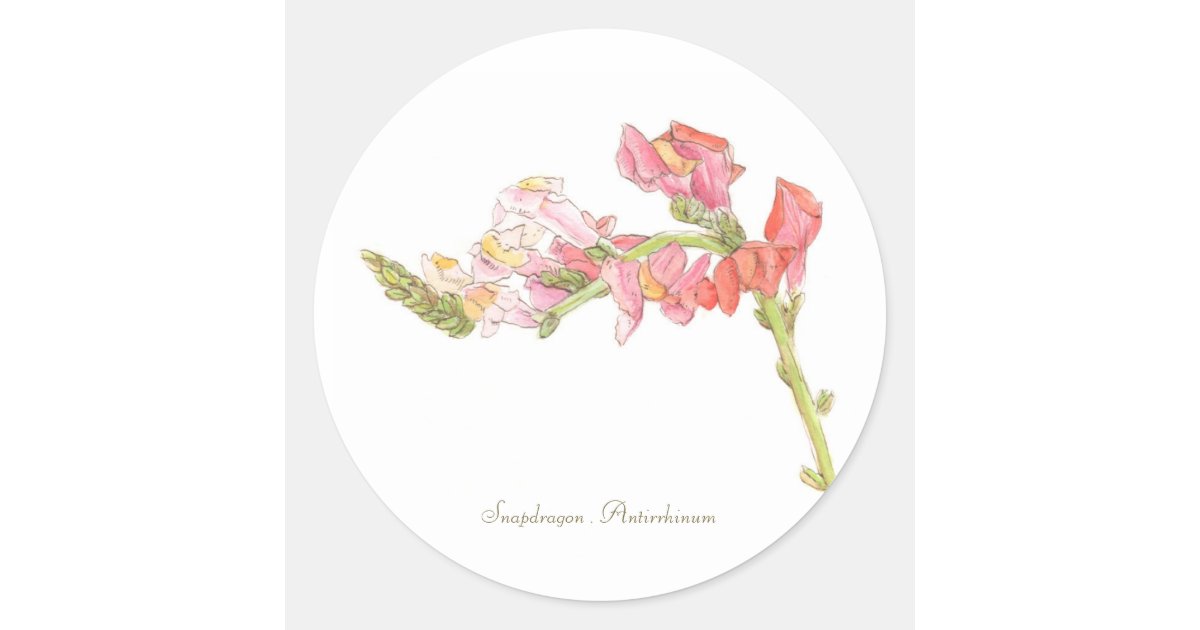 Snapdragon Inside Sticker Snapdragon Sticker | Zazzle
