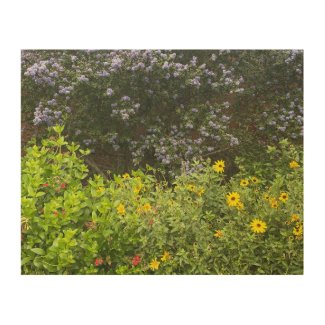 Snapdragon, Sunflower, Lilac Wood Wall Art