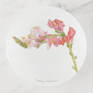 Snapdragon  trinket tray