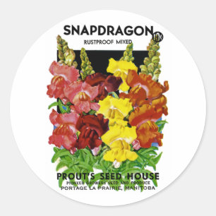 Snapdragon Vintage Seed Packet Classic Round Sticker