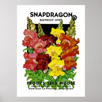 Snapdragon Vintage Seed Packet Poster by SunshineDazzle at Zazzle