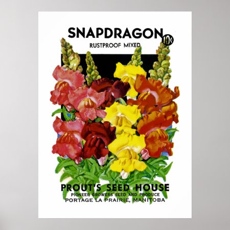 Snapdragon Vintage Seed Packet Poster