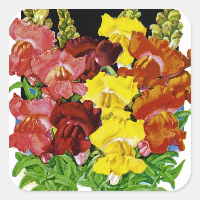 Snapdragon Vintage Seed Packet Square Sticker (Front)