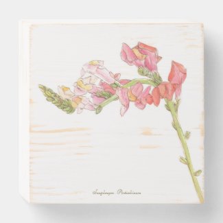 Snapdragon  wooden box sign
