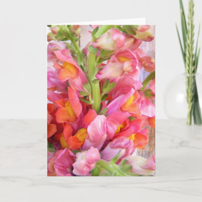 Snapdragons Bouquet Letterpress Thank You Card (Front)
