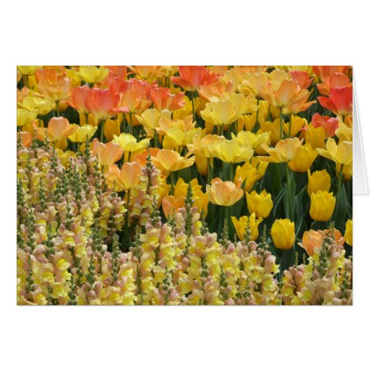 Snapdragons Card (Front Horizontal)
