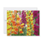 Snapdragons Colorful Floral