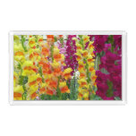 Snapdragons Colorful Floral Acrylic Tray