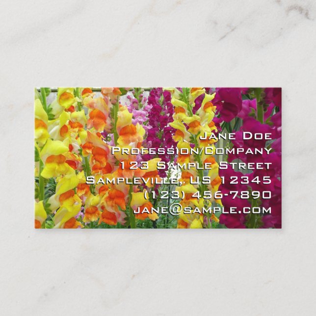 Snapdragons Colorful Floral Business Card (Front)