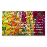 Snapdragons Colorful Floral Business Card Magnet
