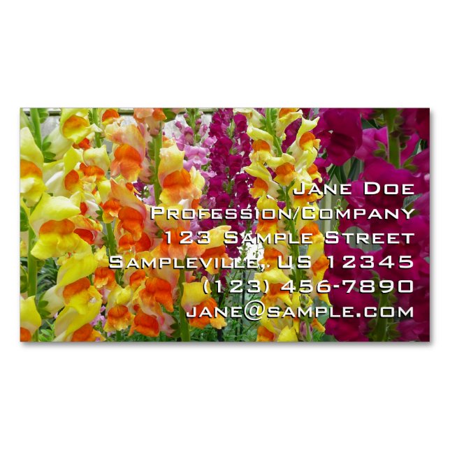 Snapdragons Colorful Floral Business Card Magnet (Front)