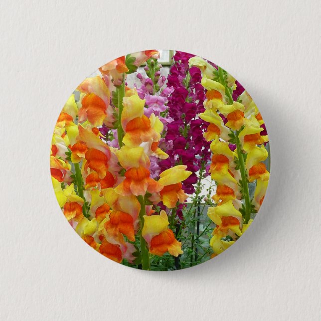 Snapdragons Colorful Floral Button (Front)