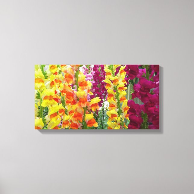Snapdragons Colorful Floral Canvas Print (Front)