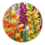 Snapdragons Colorful Floral Ceramic Knob