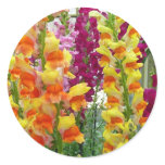Snapdragons Colorful Floral Classic Round Sticker