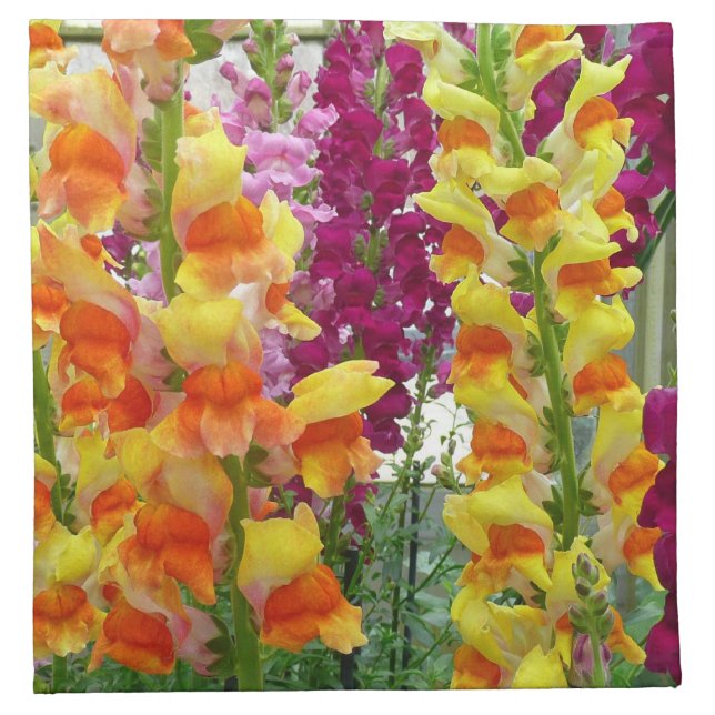 Snapdragons Colorful Floral Cloth Napkin (Front)