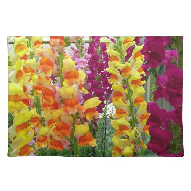 Snapdragons Colorful Floral Cloth Placemat (Front)