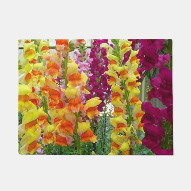 Snapdragons Colorful Floral Doormat (Front)