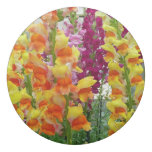 Snapdragons Colorful Floral Eraser