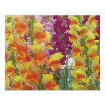 Snapdragons Colorful Floral Faux Canvas Print