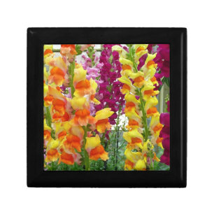 Snapdragons Colorful Floral Gift Box