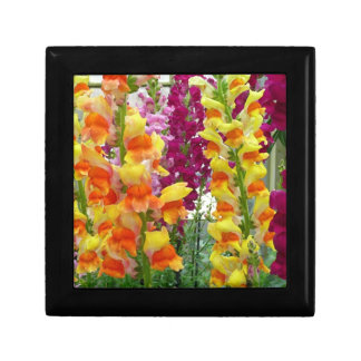 Snapdragons Colorful Floral Gift Box