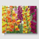 Snapdragons Colorful Floral Guest Book