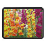 Snapdragons Colorful Floral Hitch Cover