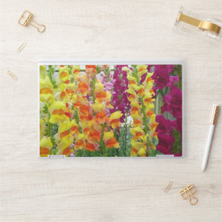 Snapdragons Colorful Floral HP Laptop Skin