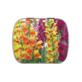 Snapdragons Colorful Floral Jelly Belly Tin (Top)