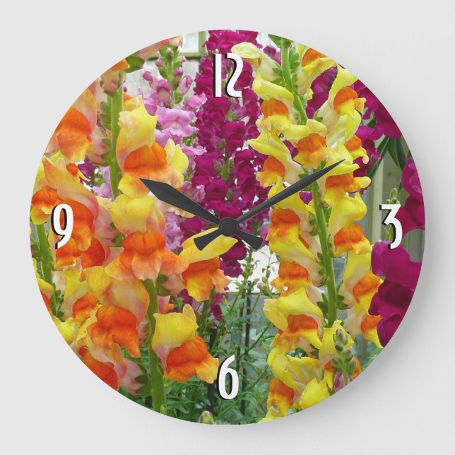 Snapdragons Colorful Floral Large Clock (Front)