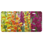 Snapdragons Colorful Floral License Plate