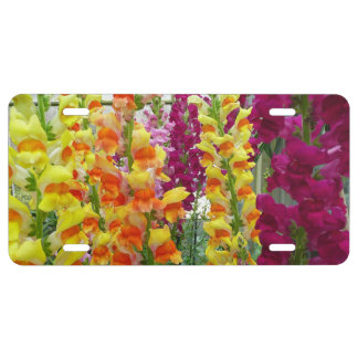 Snapdragons Colorful Floral License Plate