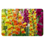Snapdragons Colorful Floral Magnet