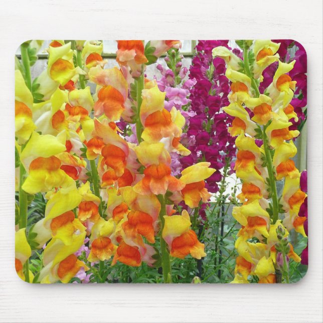 Snapdragons Colorful Floral Mouse Pad (Front)