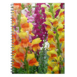 Snapdragons Colorful Floral Notebook