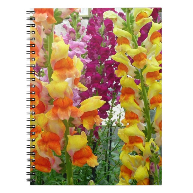 Snapdragons Colorful Floral Notebook (Front)